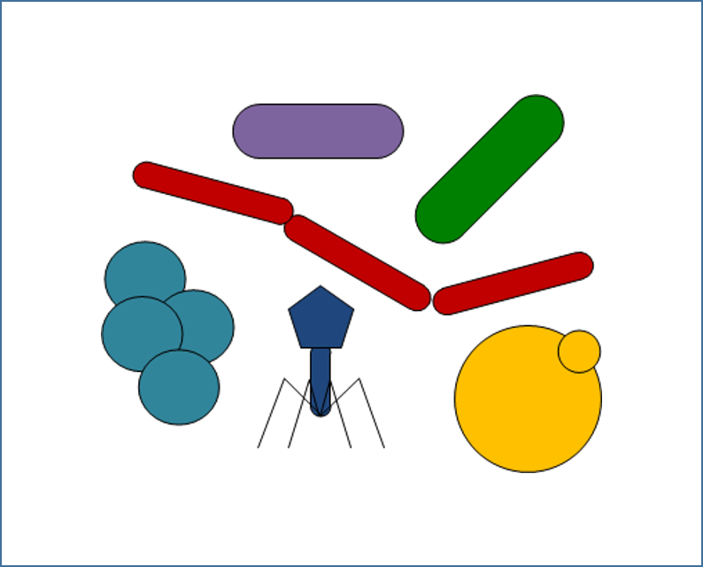 Interface Laboratories Logo